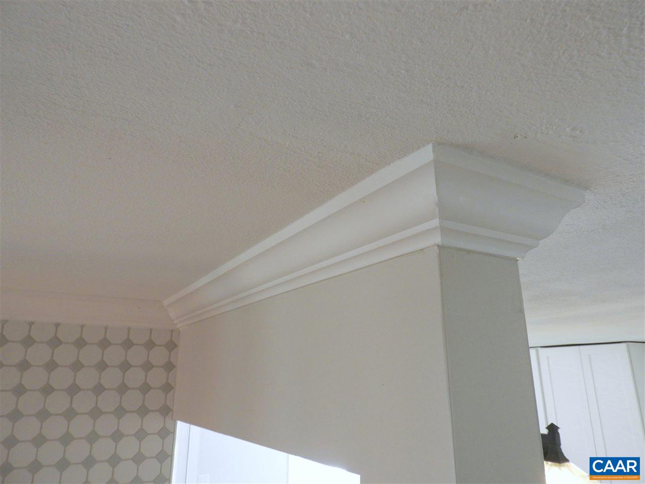 1905 Cedar Hill Road Charlottesville, VA 22901 - Photo 28 of 61 Gallery Image 28