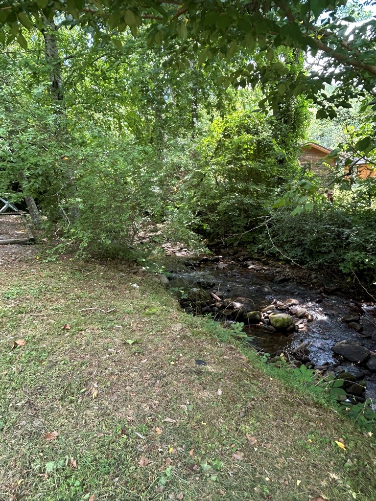 2205 Eagle Fork Road Hayesville, NC 28904 - Photo 11 of 31