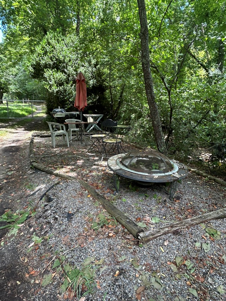 2205 Eagle Fork Road Hayesville, NC 28904 - Photo 12 of 31