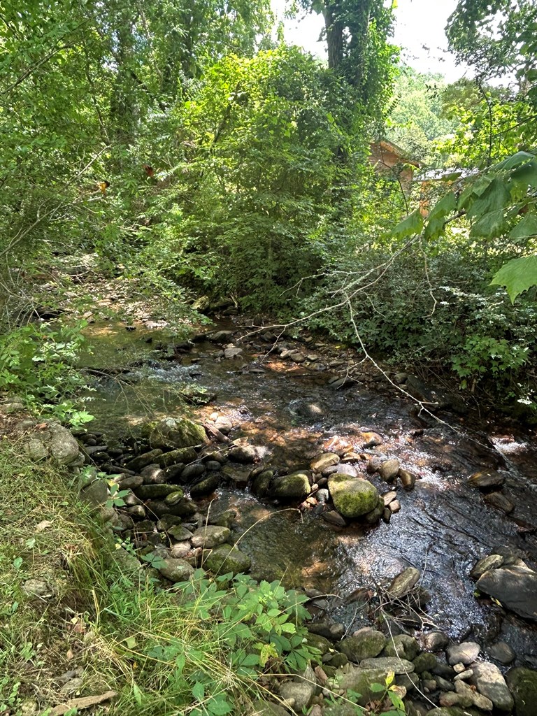2205 Eagle Fork Road Hayesville, NC 28904 - Photo 13 of 31