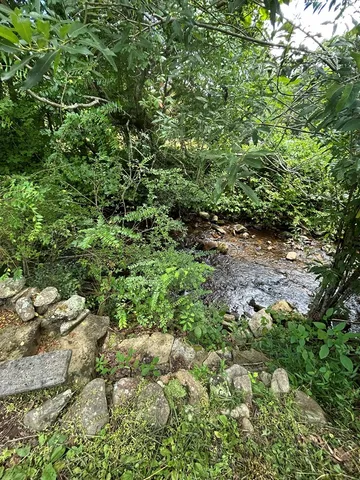 $400,000 | 2205 Eagle Fork Road, Hayesville, NC 28904