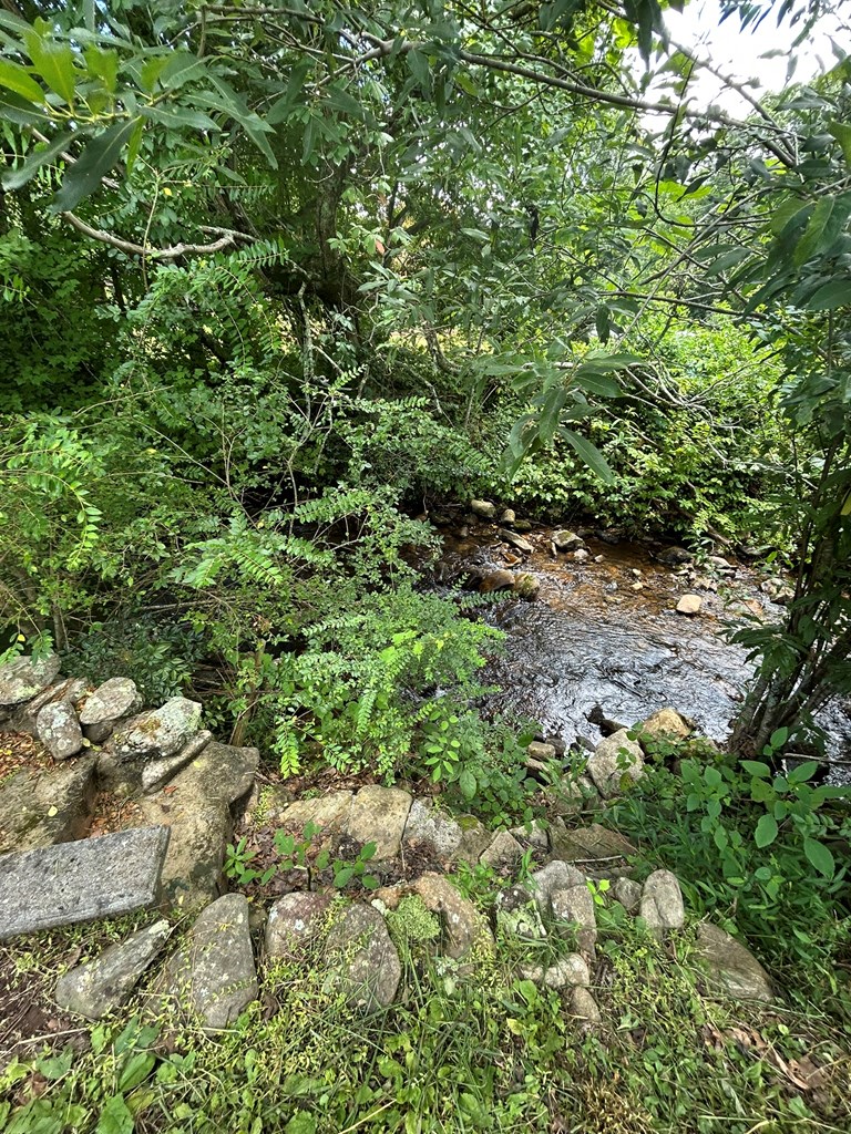 2205 Eagle Fork Road Hayesville, NC 28904 - Photo 10 of 31