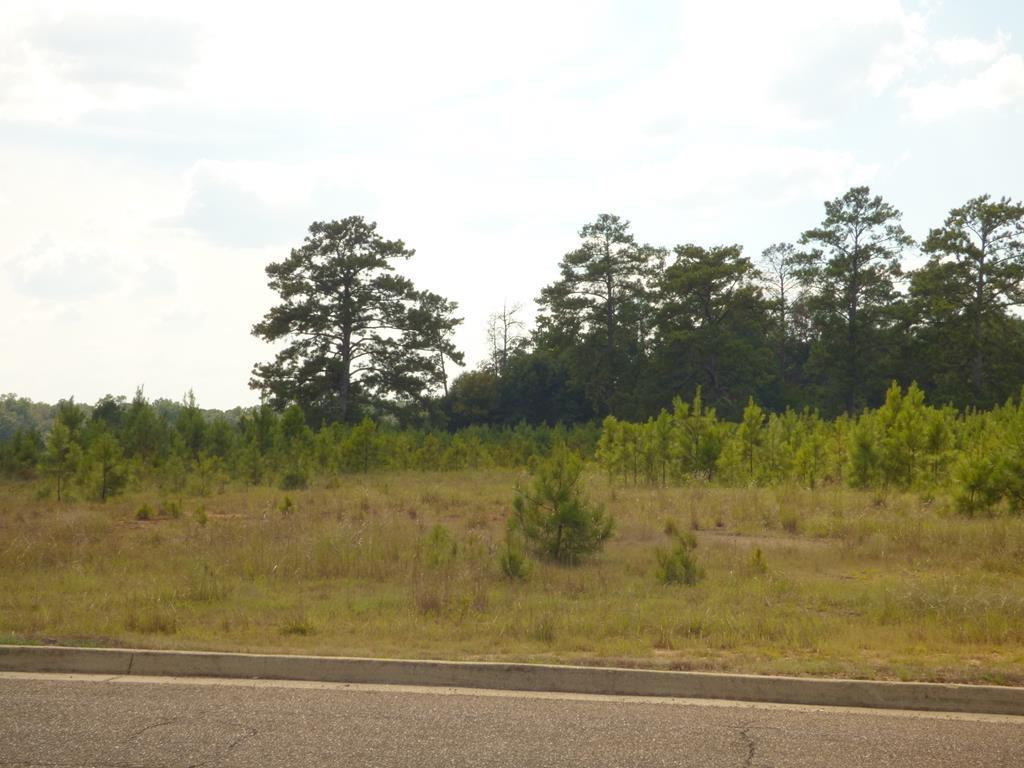 Anna Drive McComb, MS 39648 - Photo 2 of 6 Photo 2