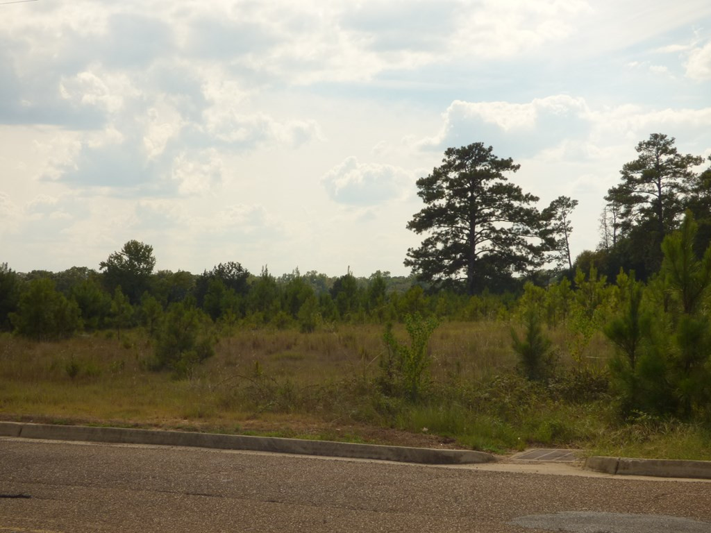 Anna Drive McComb, MS 39648 - Photo 5 of 6 Photo 5
