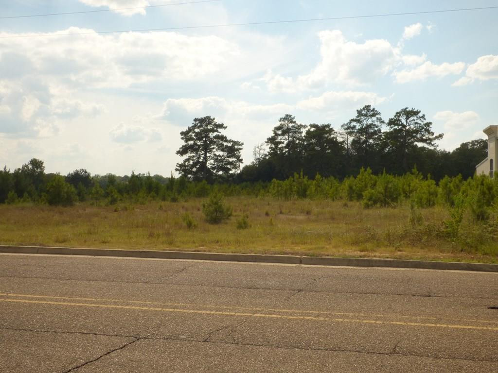 Anna Drive McComb, MS 39648 - Photo 6 of 6 Photo 6