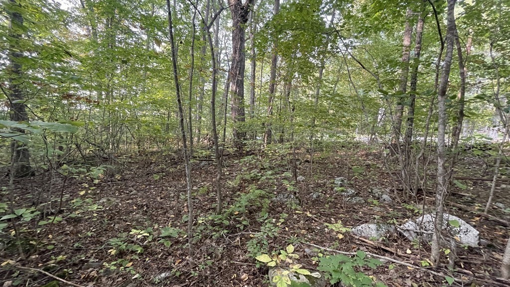 Lot 2 Thompson Pond Road Spencer, MA 01562 - Photo 4 of 14 Gallery Image 4