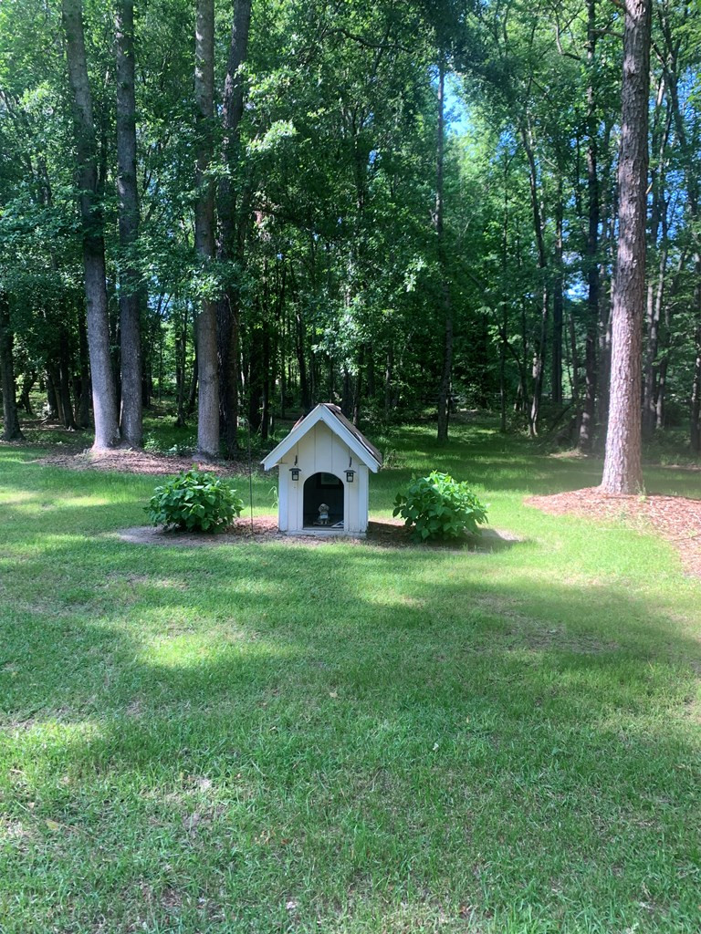 1201 Clayton Road Ridge Spring, SC 29129 - Photo 51 of 56