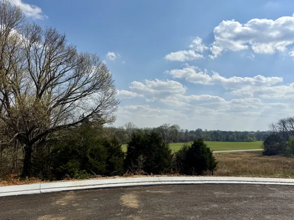 $1,980,900 | 527 Divine Court, Arrington, TN 37014