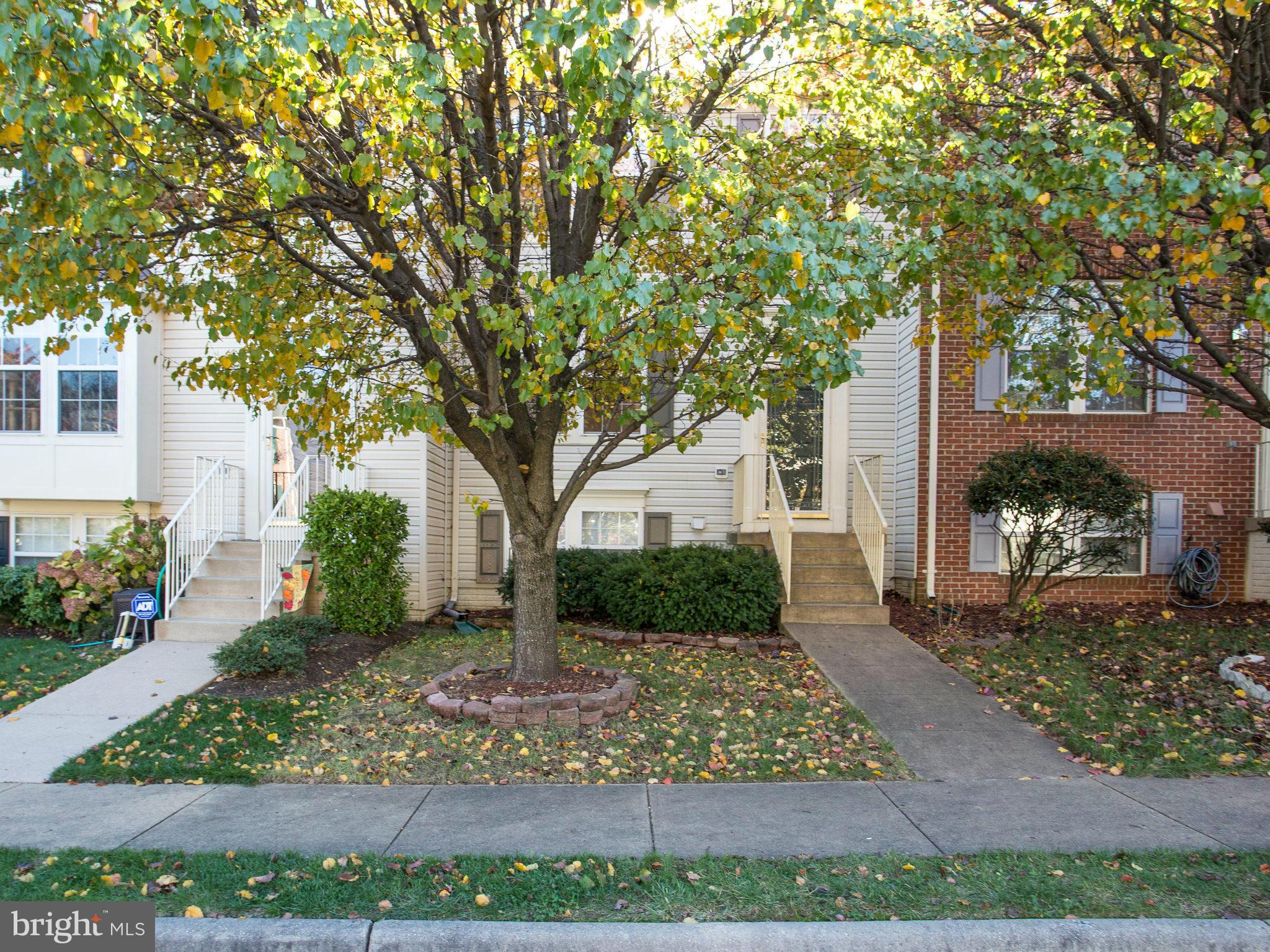 6395 Stagg Court Springfield, VA 22150 - Photo 29 of 30 a front view of a house with garden