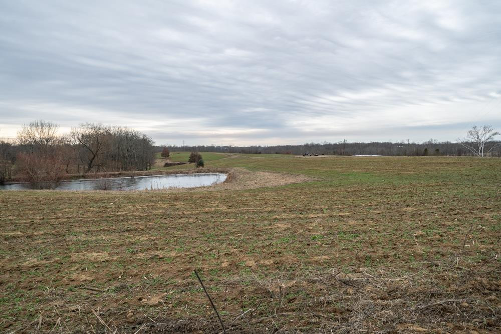 0 Violet Road Verona, KY 41092 - Photo 9 of 12 Gallery Image 9