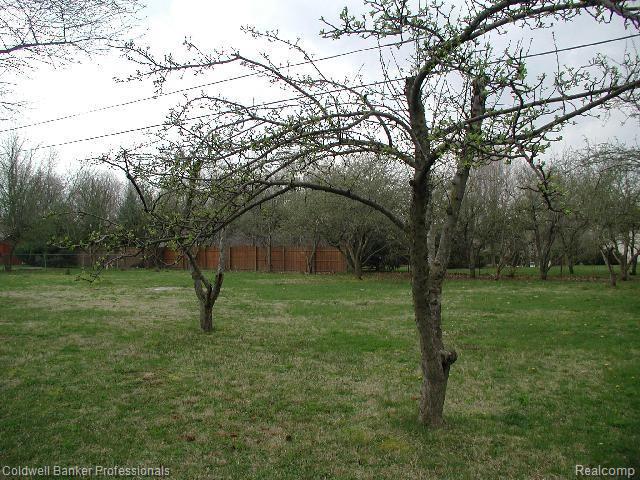 377 Myers Road Lapeer, MI 48446 - Photo 4 of 13 377 Myers backyard
