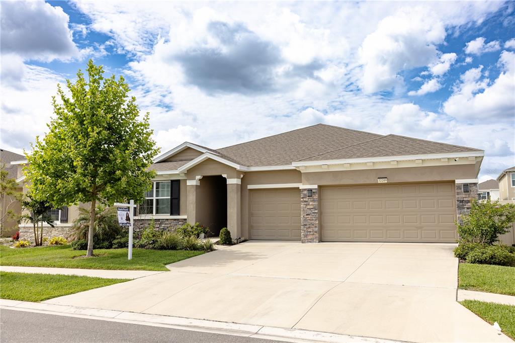 32289 Conchshell Sail Street Wesley Chapel, FL 33545 - Photo 2 of 53