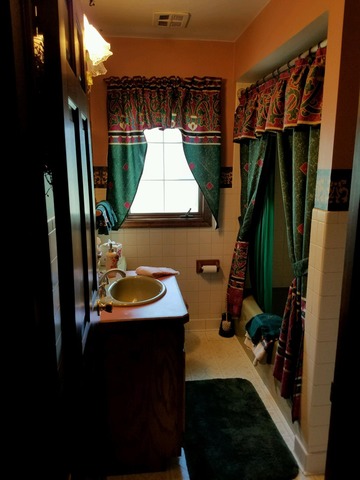 1619 Riverside Drive McHenry, IL 60050 - Photo 14 of 25 a bathroom with a sink a mirror and shower