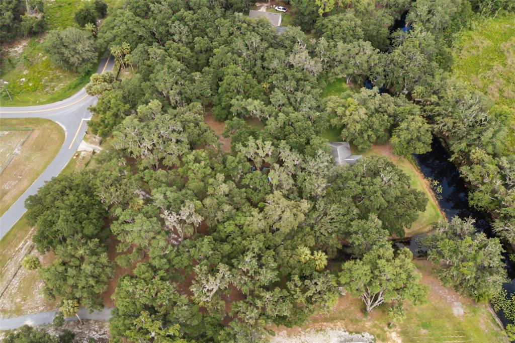 7938 Jacksons River Road Leesburg, FL 34788 - Photo 39 of 43