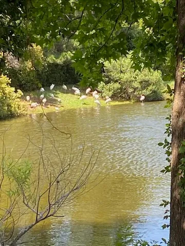 $599,000 | 1245 Lakefront Drive, Charleston, SC 29412