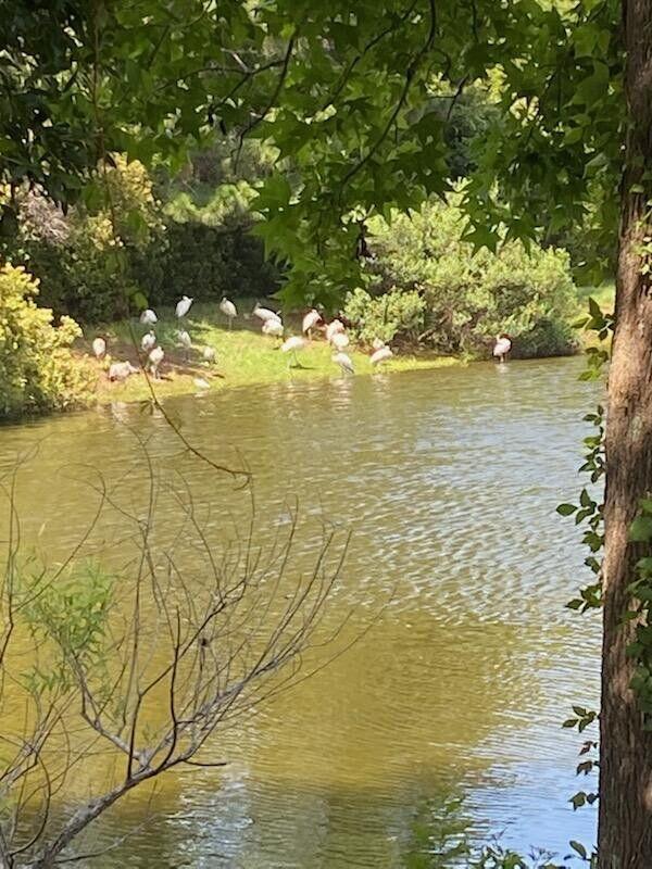 1245 Lakefront Drive Charleston, SC 29412 - Photo 41 of 44 20250621150618305204000000-o