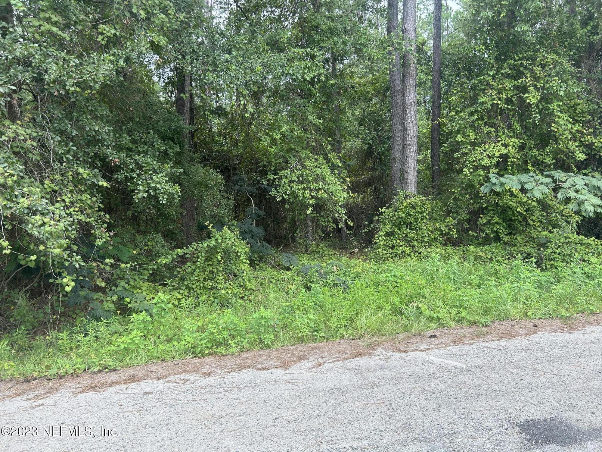 0 Bob Kirkland Road Macclenny, FL 32063 - Photo 2 of 5 IMG_2381