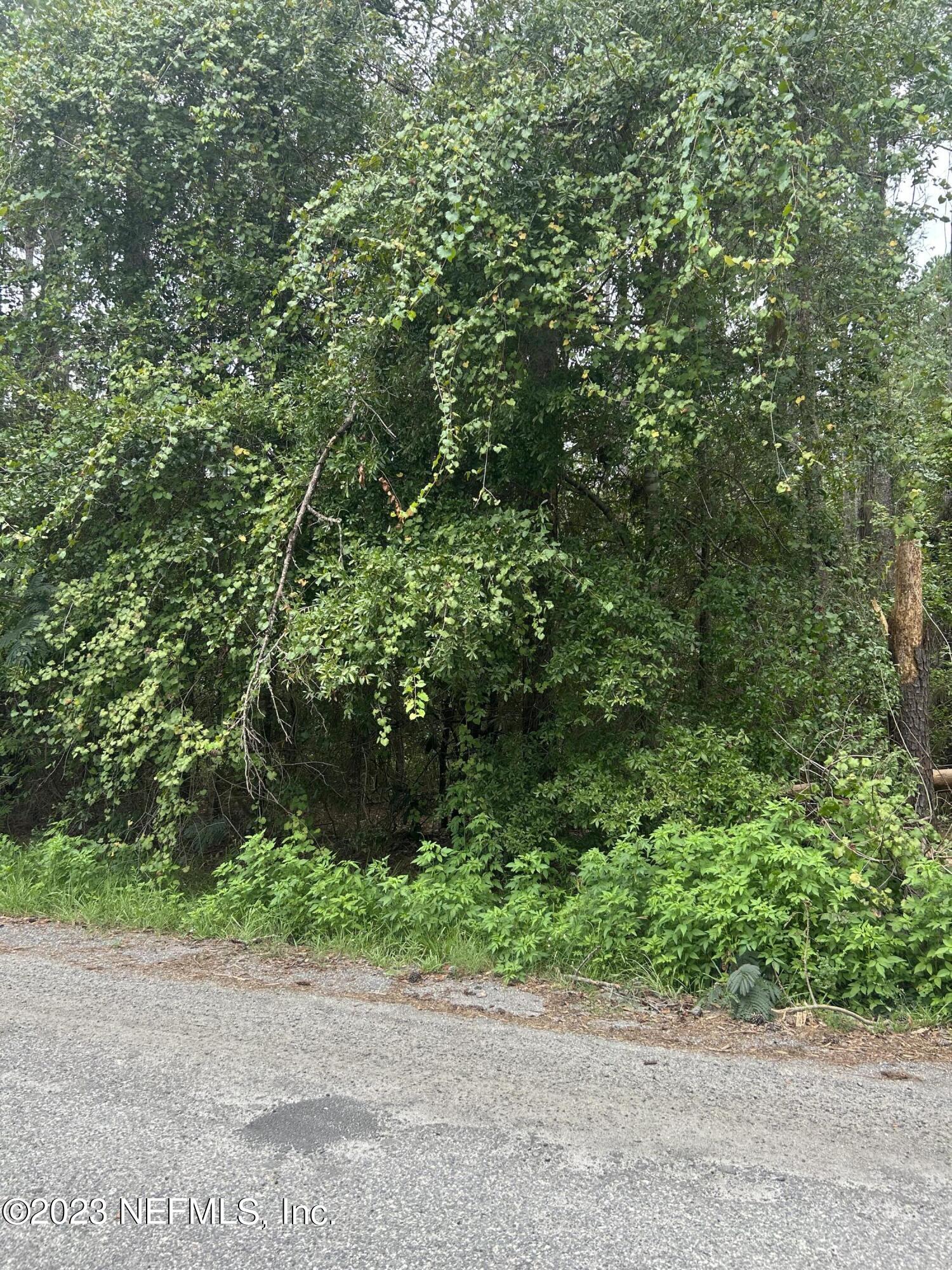 0 Bob Kirkland Road Macclenny, FL 32063 - Photo 3 of 5 IMG_2382 2