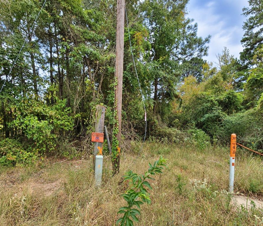 0 Ferguson Road Harleton, TX 75651 - Photo 5 of 5 Gallery Image 5