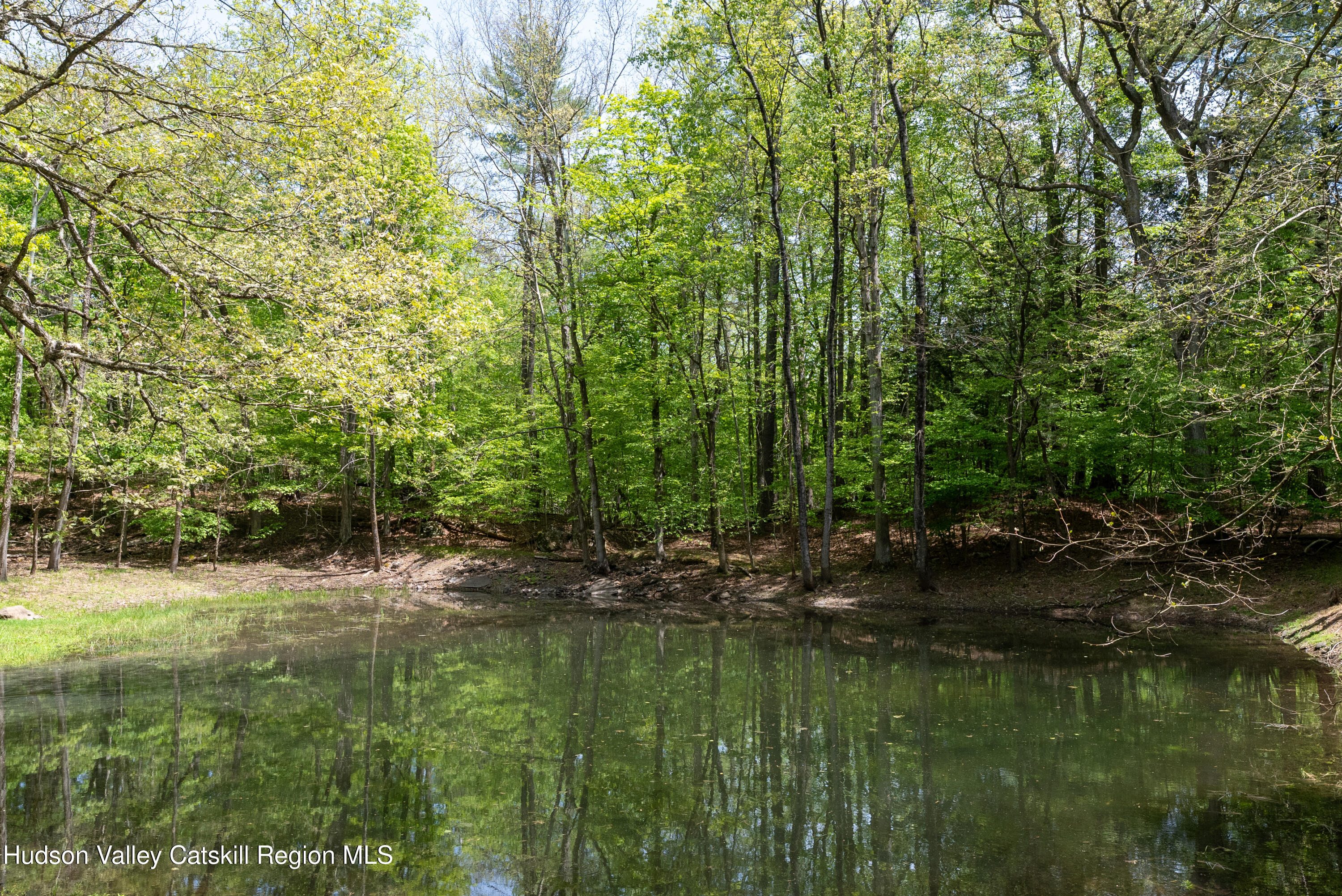 214 Doman Road Freehold, NY 12431 - Photo 49 of 54 105-print-214-doman-rd