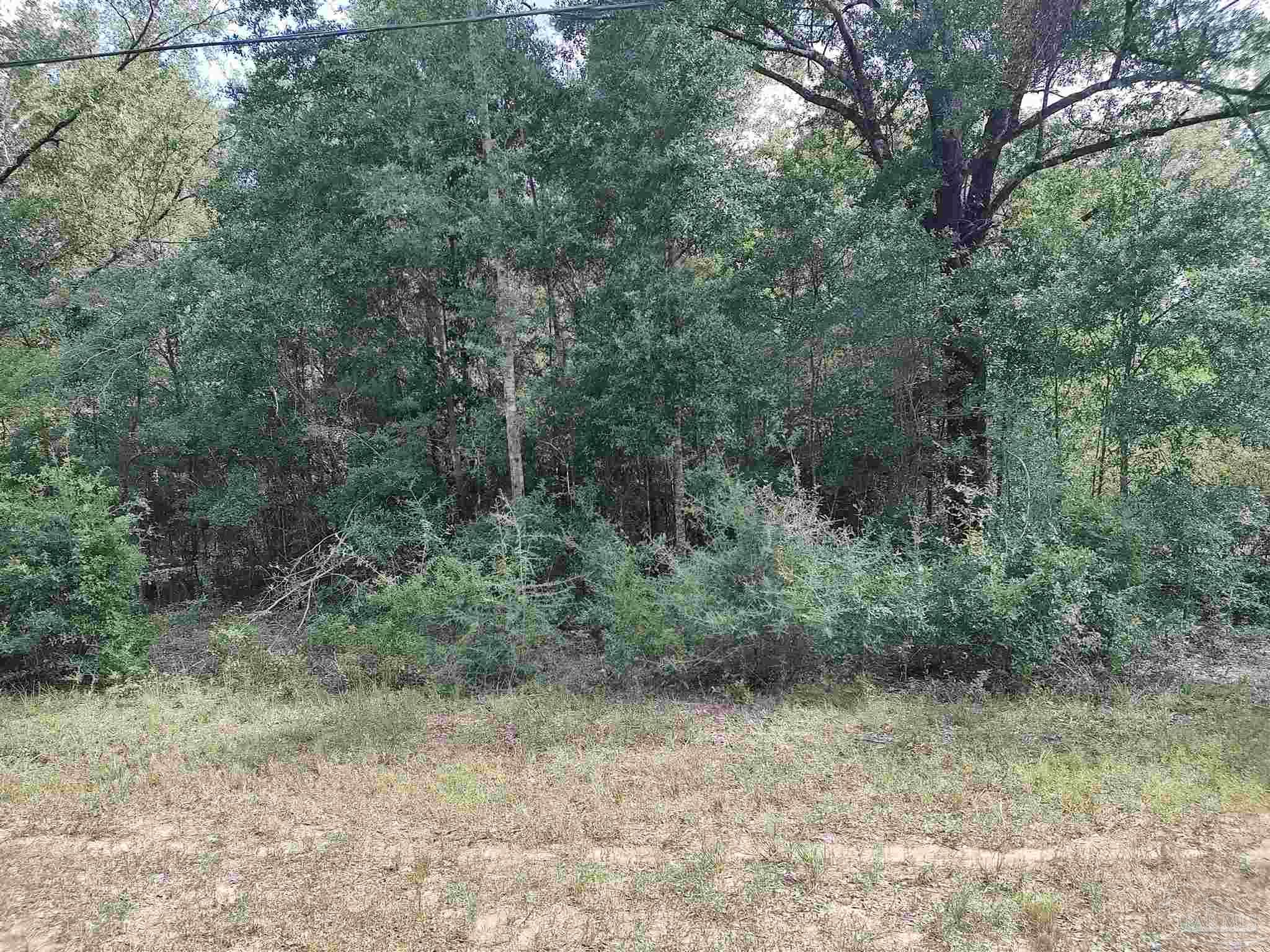 0 Trail Ride South Milton, FL 32570 - Photo 1 of 2