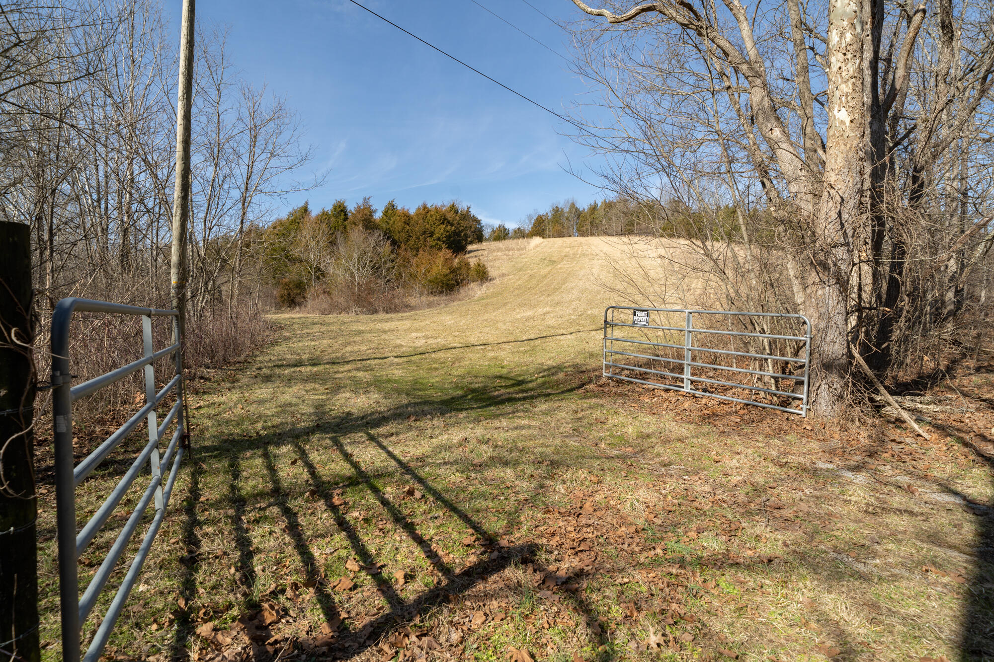 17.67-ac Fork Lick Road Corinth, KY 41010 - Photo 1 of 18 Gallery Image 1