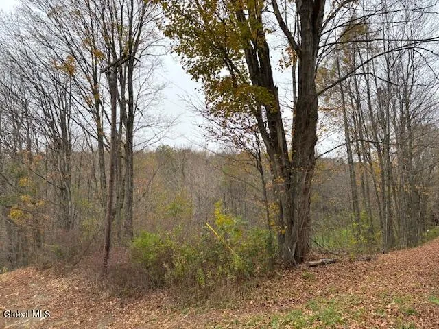 $54,900 | L24.1 Darfler Lane, Granville, NY 12832