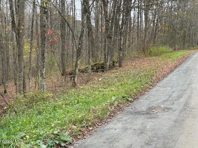 $54,900 | L24.1 Darfler Lane, Granville, NY 12832