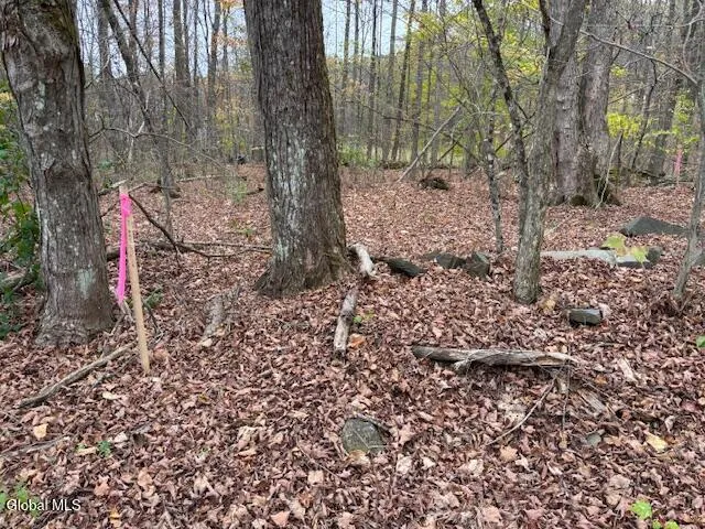 $54,900 | L24.1 Darfler Lane, Granville, NY 12832