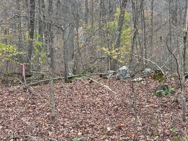 $54,900 | L24.1 Darfler Lane, Granville, NY 12832