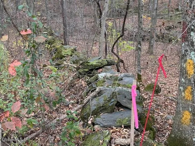 $54,900 | L24.1 Darfler Lane, Granville, NY 12832