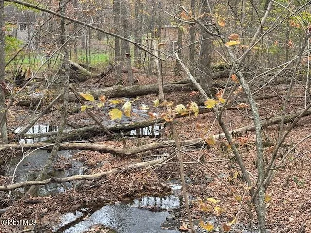 $54,900 | L24.1 Darfler Lane, Granville, NY 12832