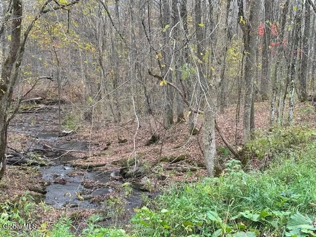 $54,900 | L24.1 Darfler Lane, Granville, NY 12832