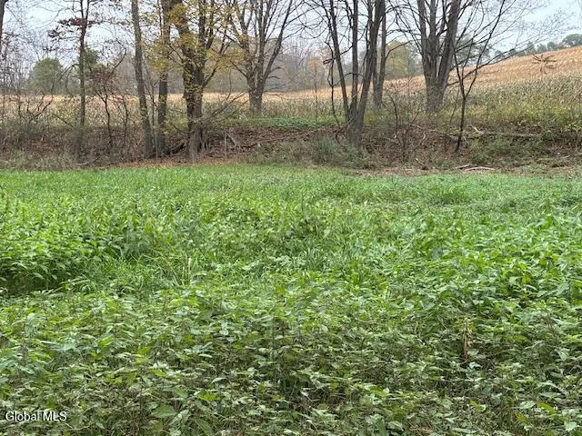 $54,900 | L24.1 Darfler Lane, Granville, NY 12832