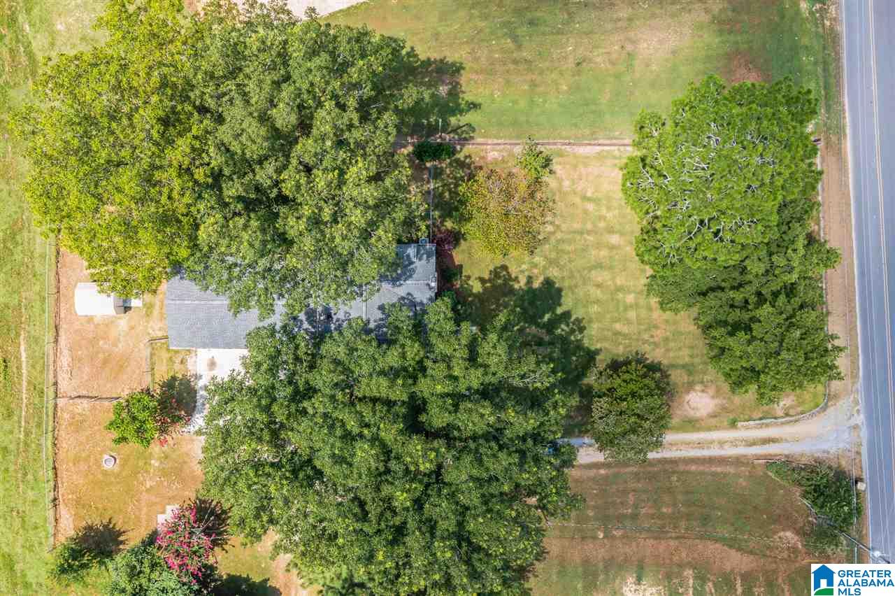 1647 East Hanceville Road Cullman, AL 35055 - Photo 7 of 31