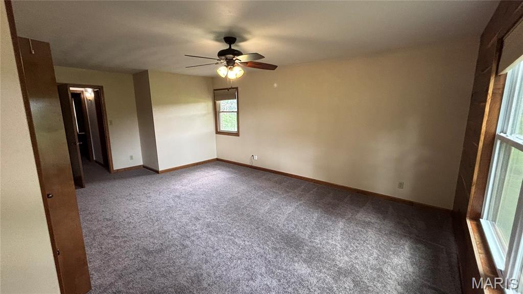 4002 Nation Road Salem, IL 62881 - Photo 30 of 63