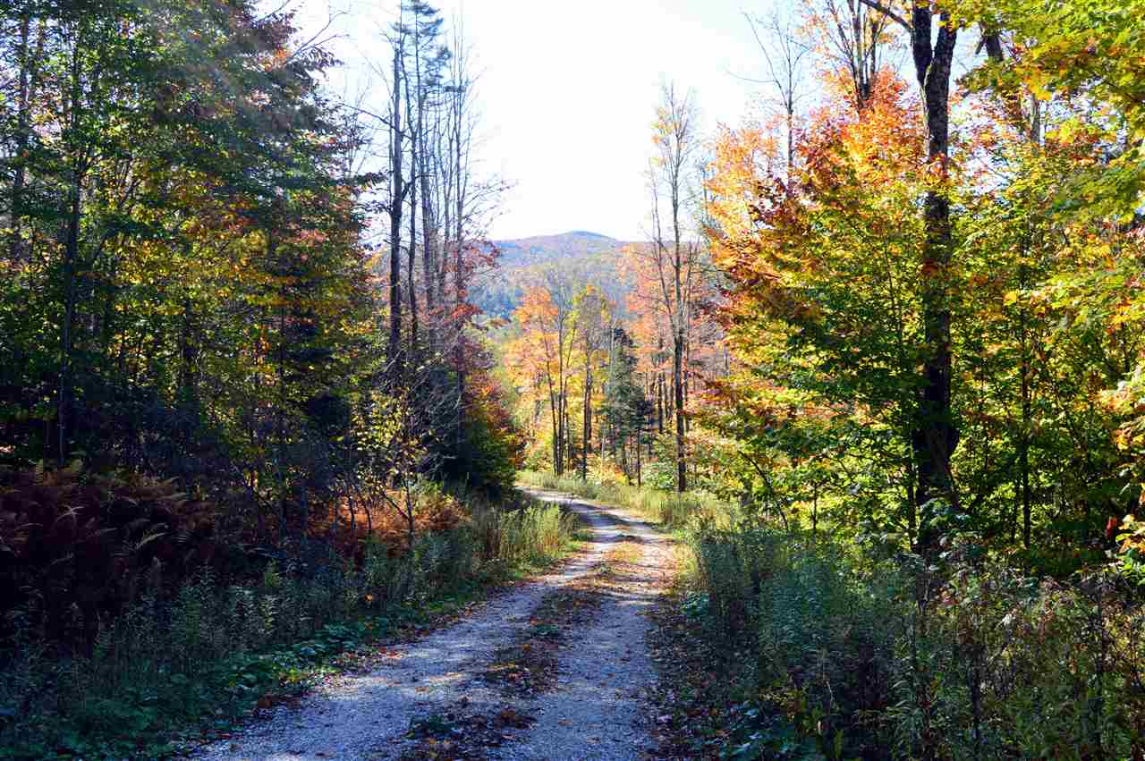 171 Barlow Road Mount Holly, VT 05730 - Photo 40 of 40