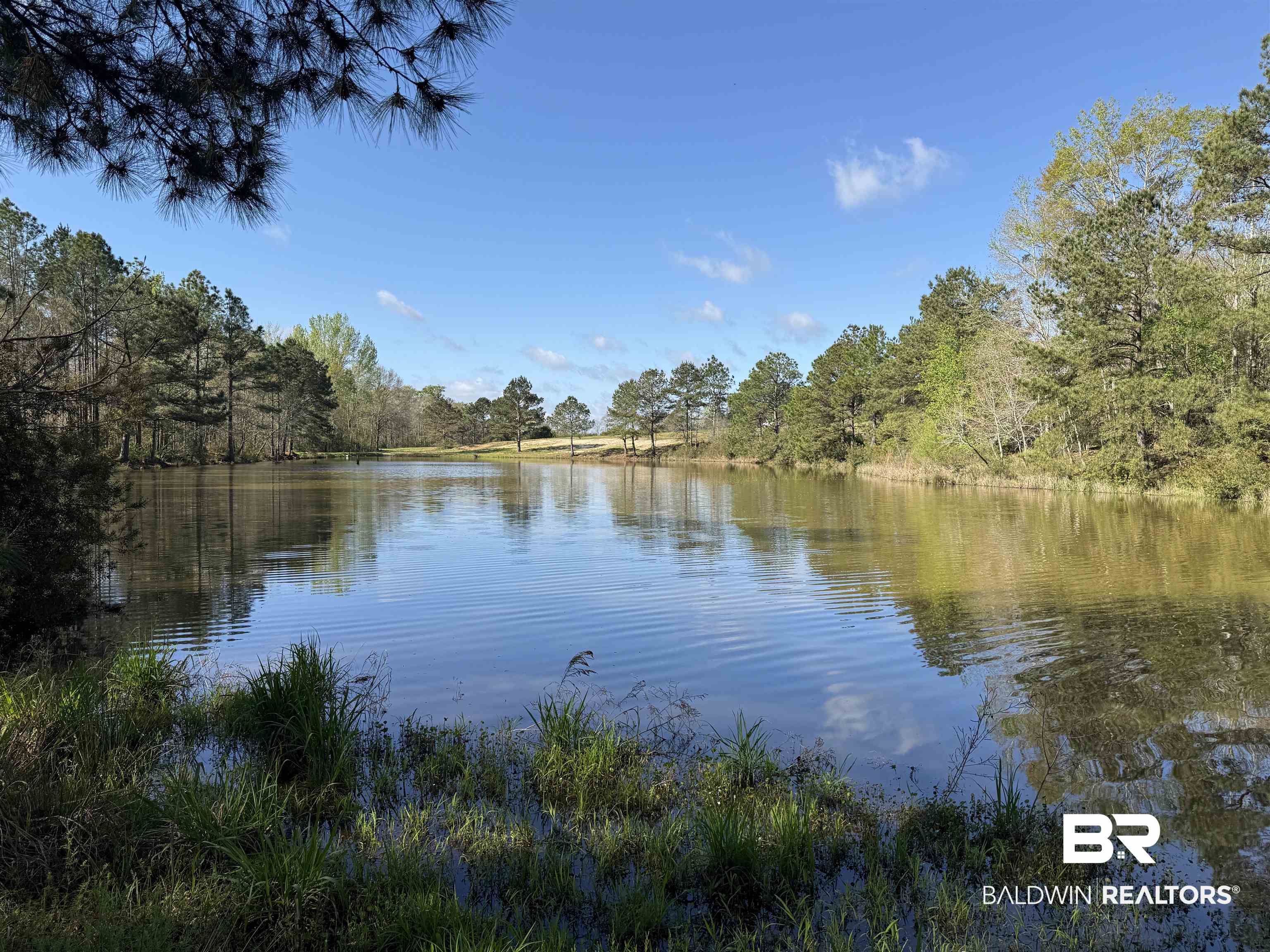 0 Gap Weekly Road Perdido, AL 36562 - Photo 2 of 20