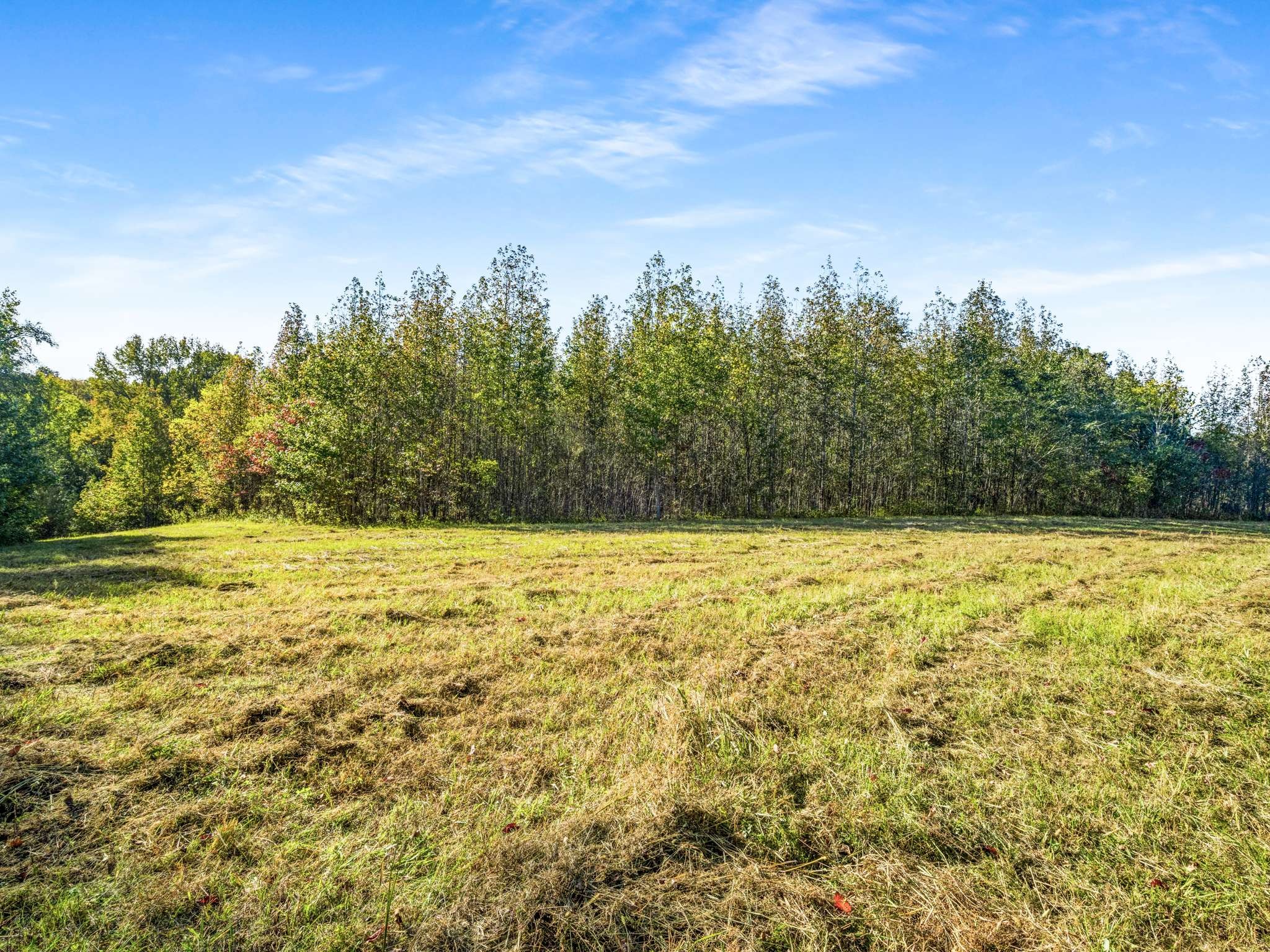 697 Johnson Branch Road Williamsport, TN 38487 - Photo 11 of 31 a view of a yard with an outdoor space