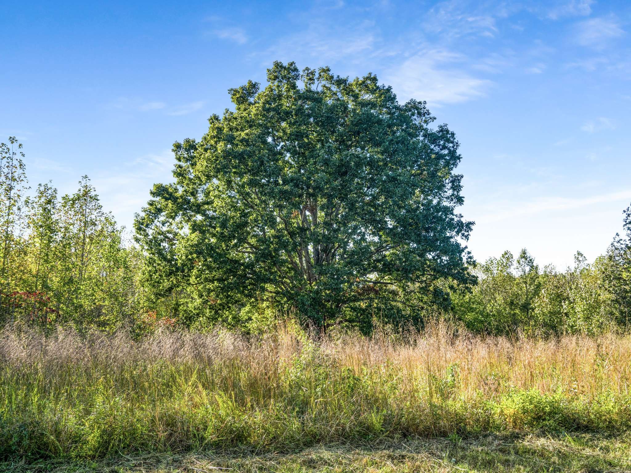 697 Johnson Branch Road Williamsport, TN 38487 - Photo 11 of 32