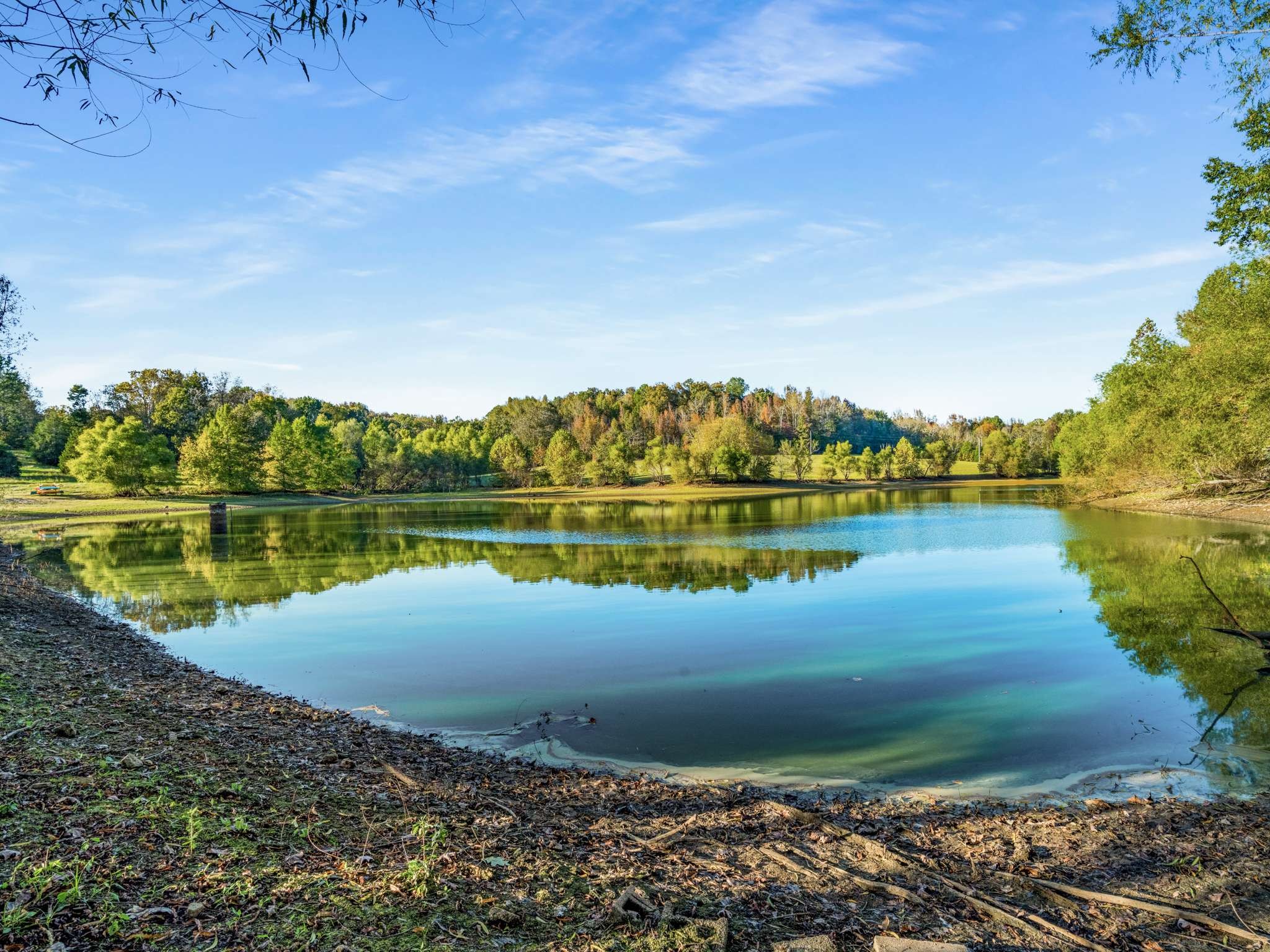 697 Johnson Branch Road Williamsport, TN 38487 - Photo 27 of 31 a view of a lake with a large trees