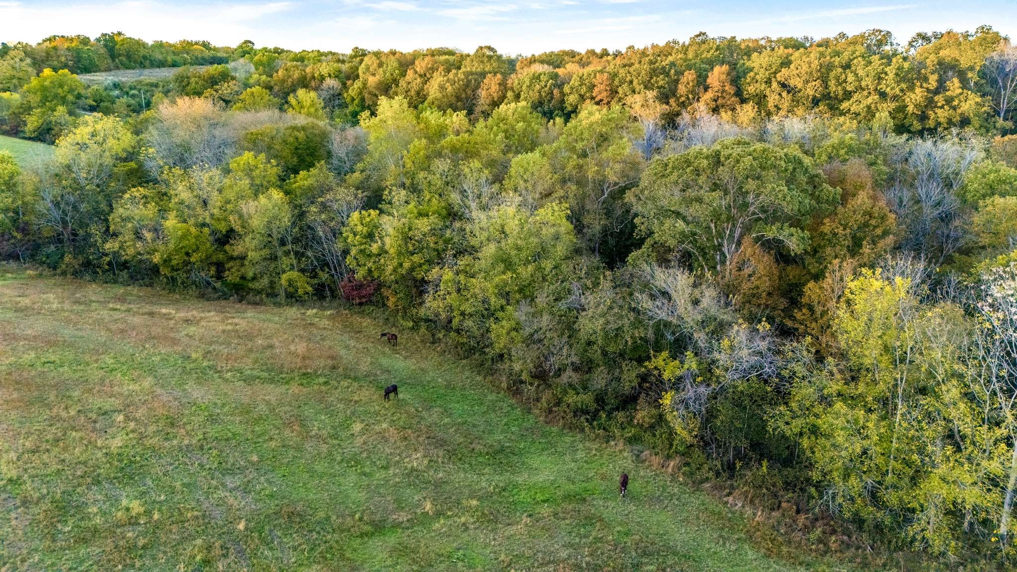 697 Johnson Branch Road Williamsport, TN 38487 - Photo 30 of 32