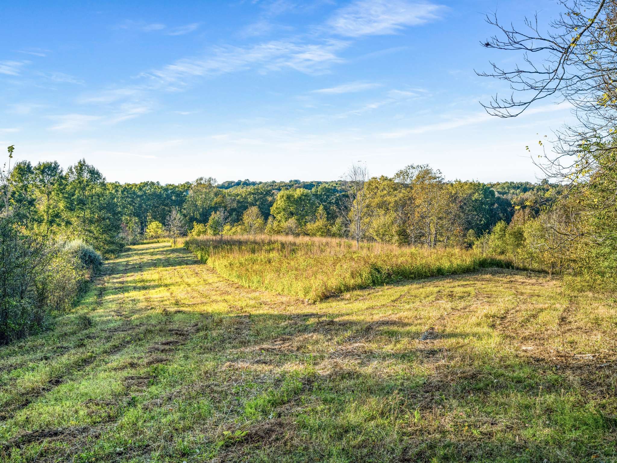 697 Johnson Branch Road Williamsport, TN 38487 - Photo 31 of 31 a view of an ocean from a yard