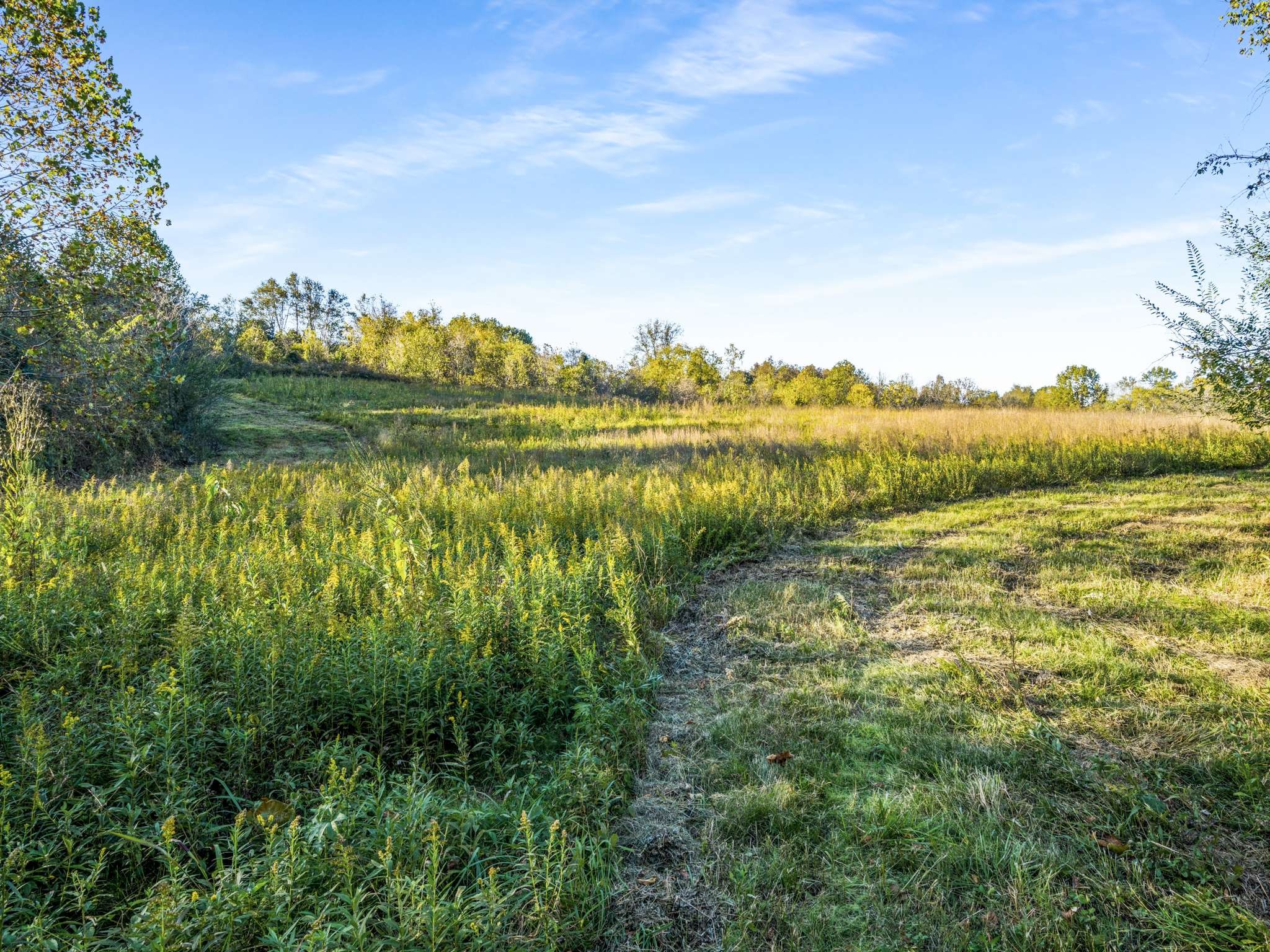 697 Johnson Branch Road Williamsport, TN 38487 - Photo 31 of 32
