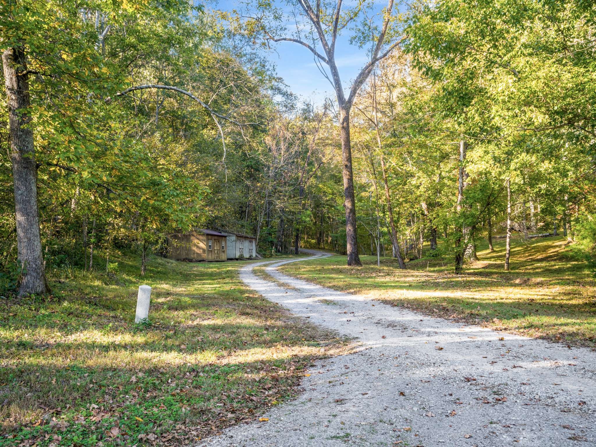 697 Johnson Branch Road Williamsport, TN 38487 - Photo 9 of 32