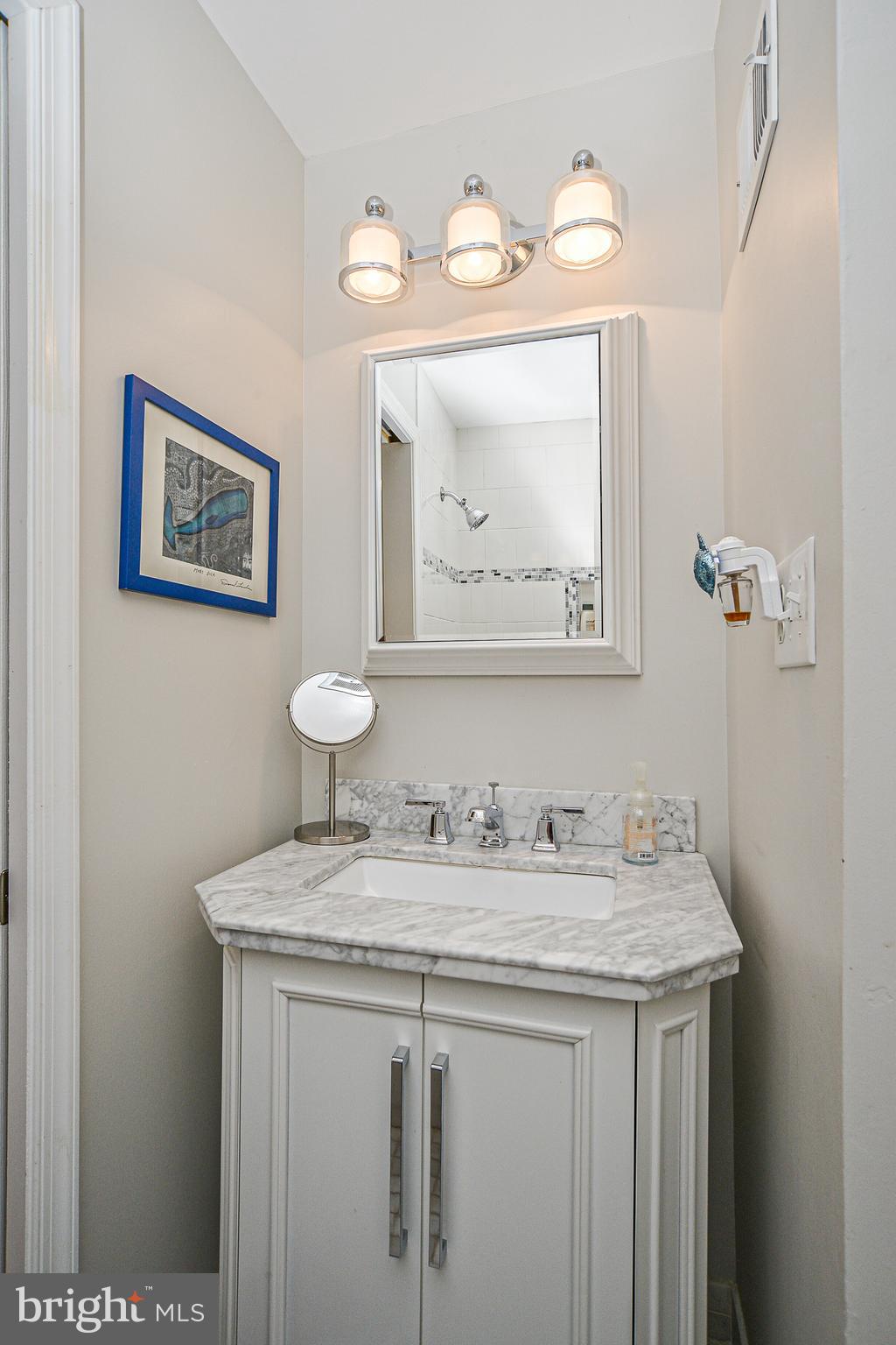 1834 Golf View Court Reston, VA 20190 - Photo 18 of 26 Updated hall bath