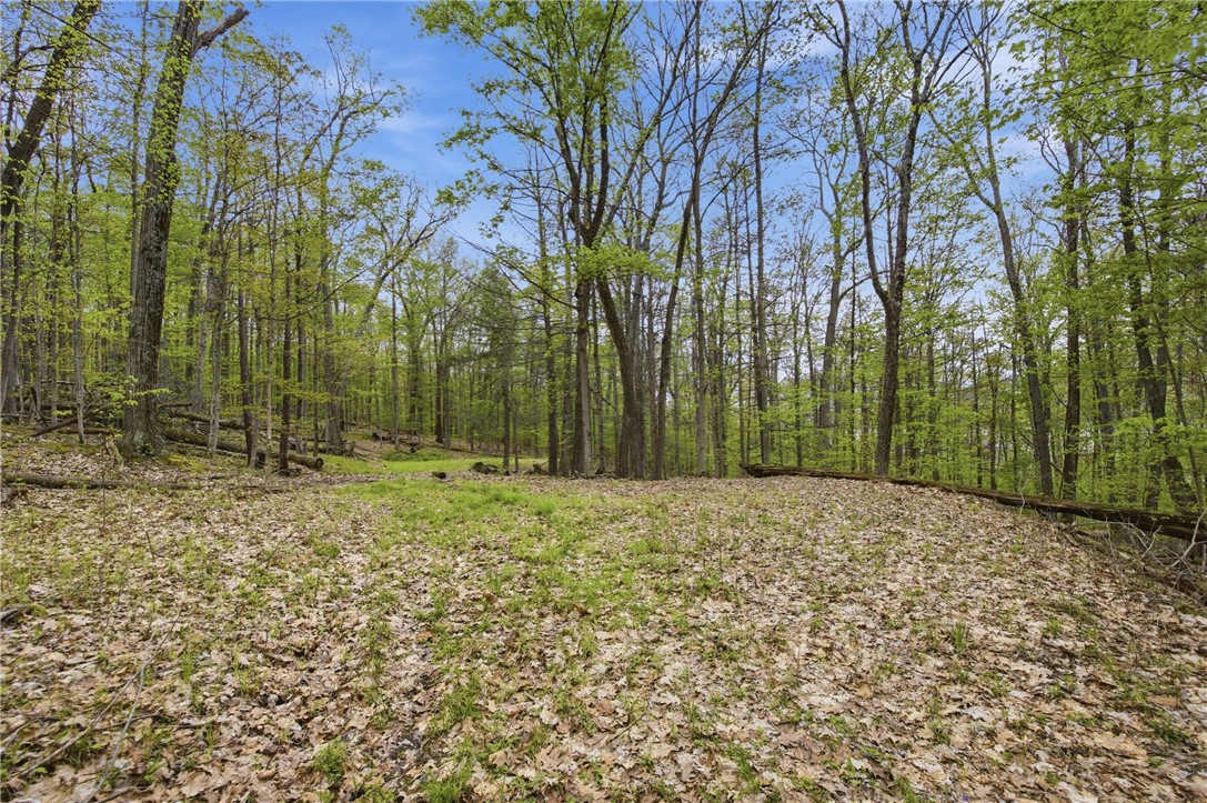 Silvernail Road Hammondsport, NY 14840 - Photo 8 of 25