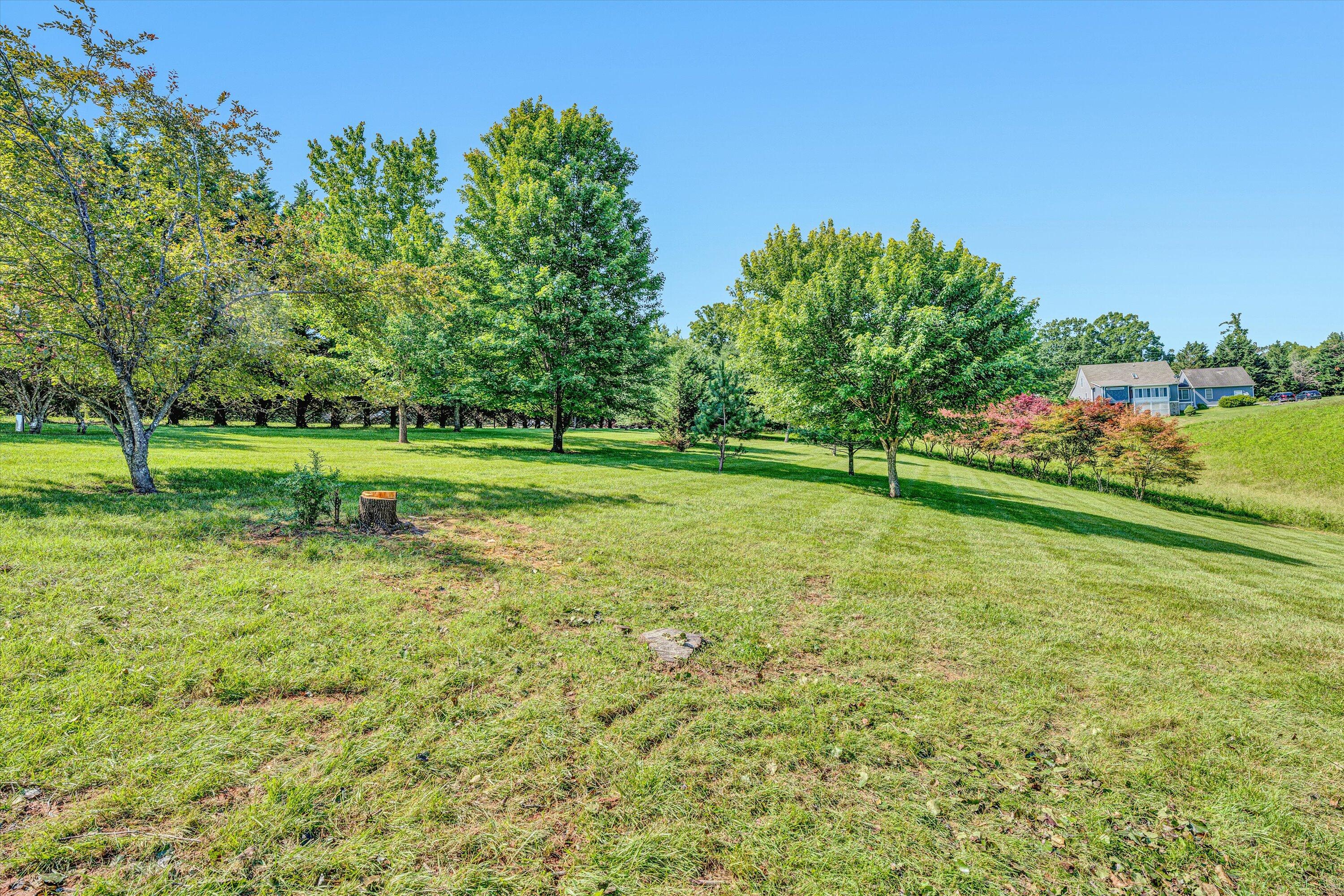 395 Middle Valley Road Hardy, VA 24101 - Photo 52 of 66 a view of a park with large trees