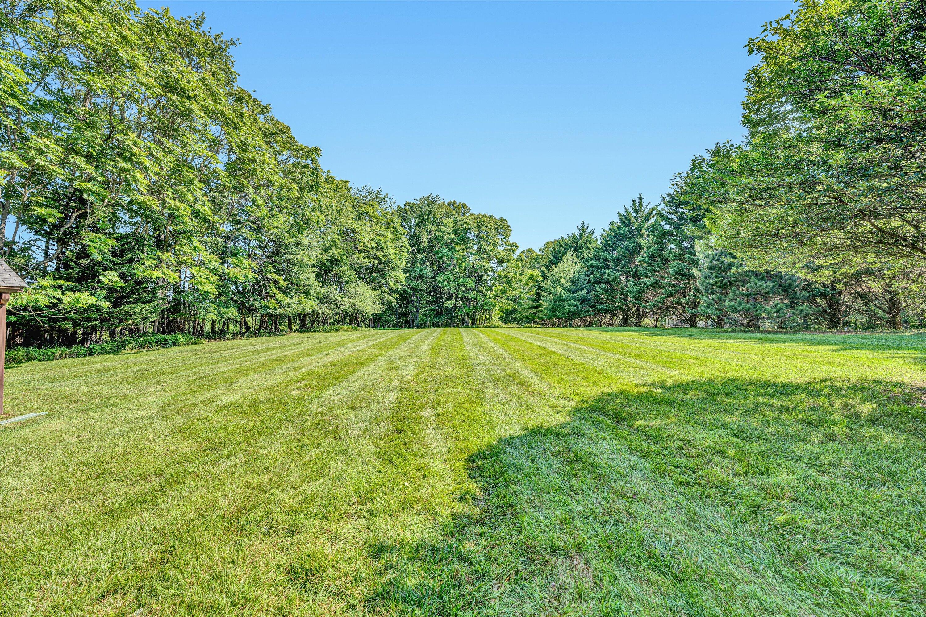 395 Middle Valley Road Hardy, VA 24101 - Photo 53 of 66 a view of a big yard with large trees