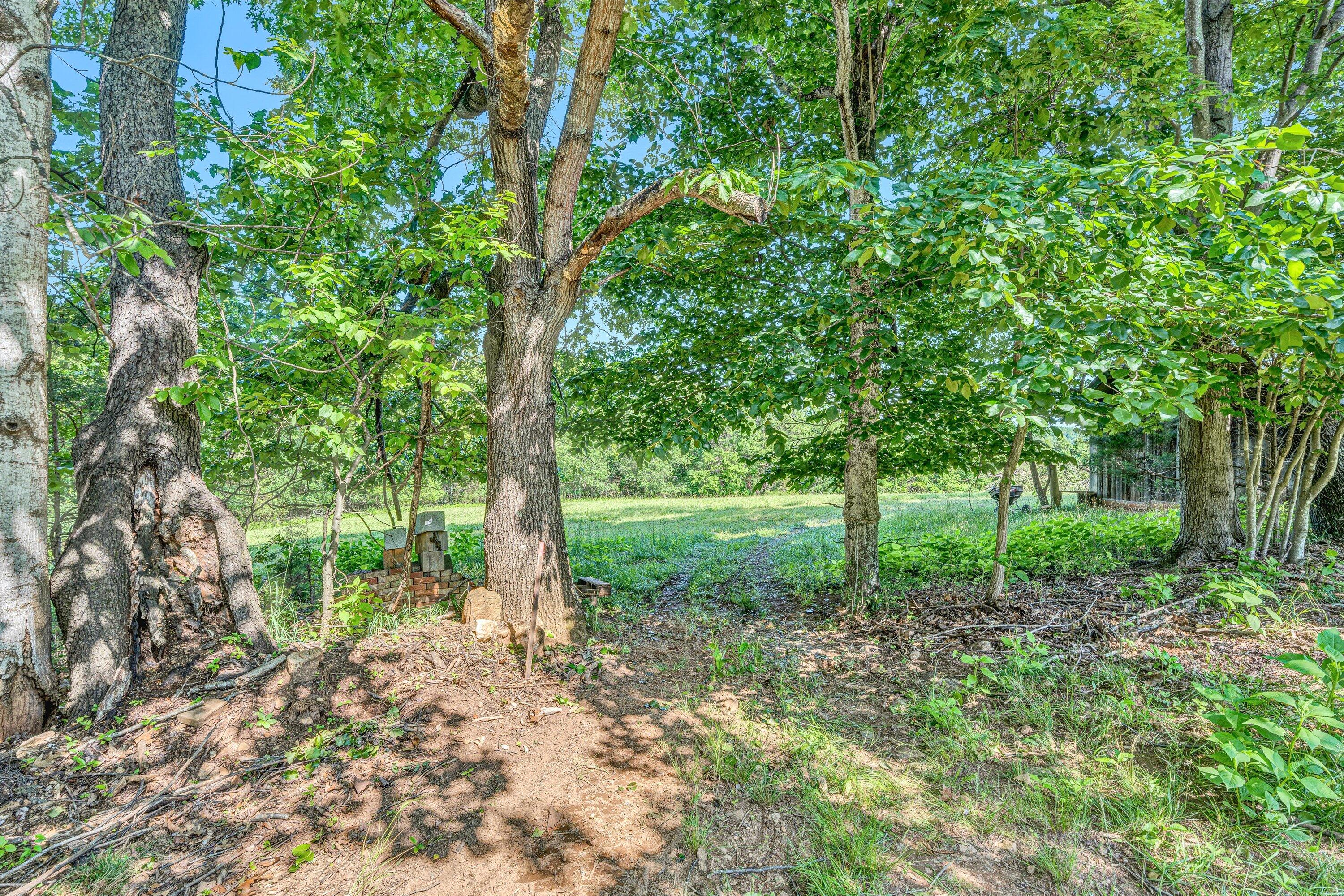 395 Middle Valley Road Hardy, VA 24101 - Photo 55 of 66 55-DSC00172